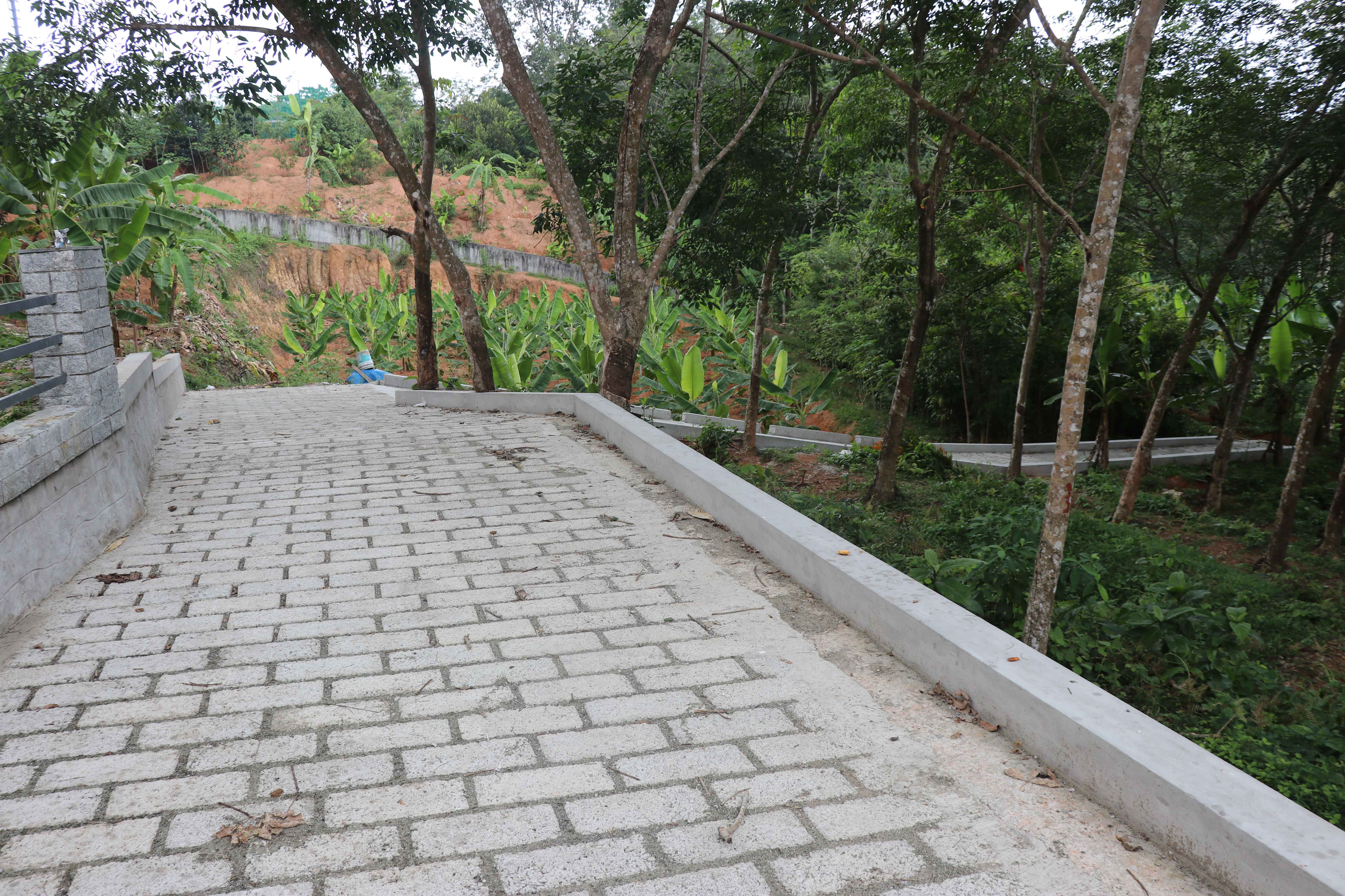 Green Pedestrian Friendly Pathway